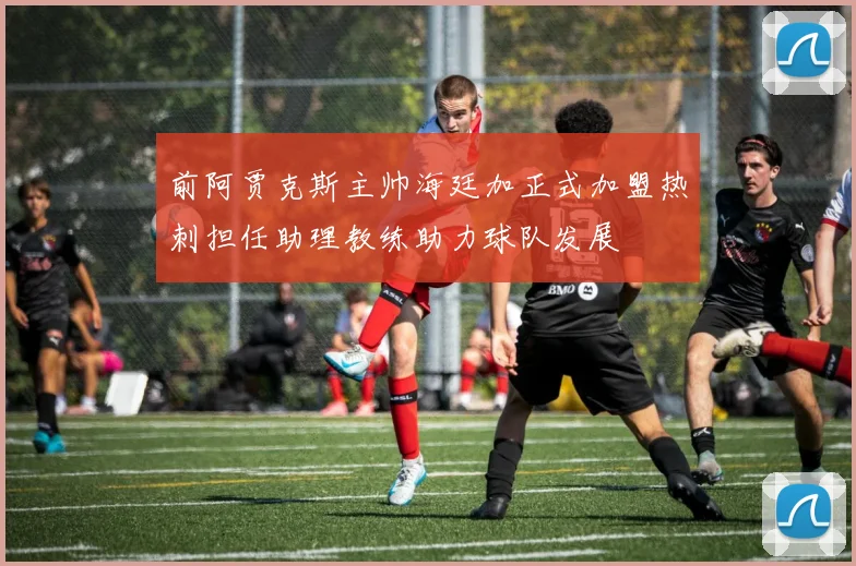 前阿贾克斯主帅海廷加正式加盟热刺担任助理教练助力球队发展